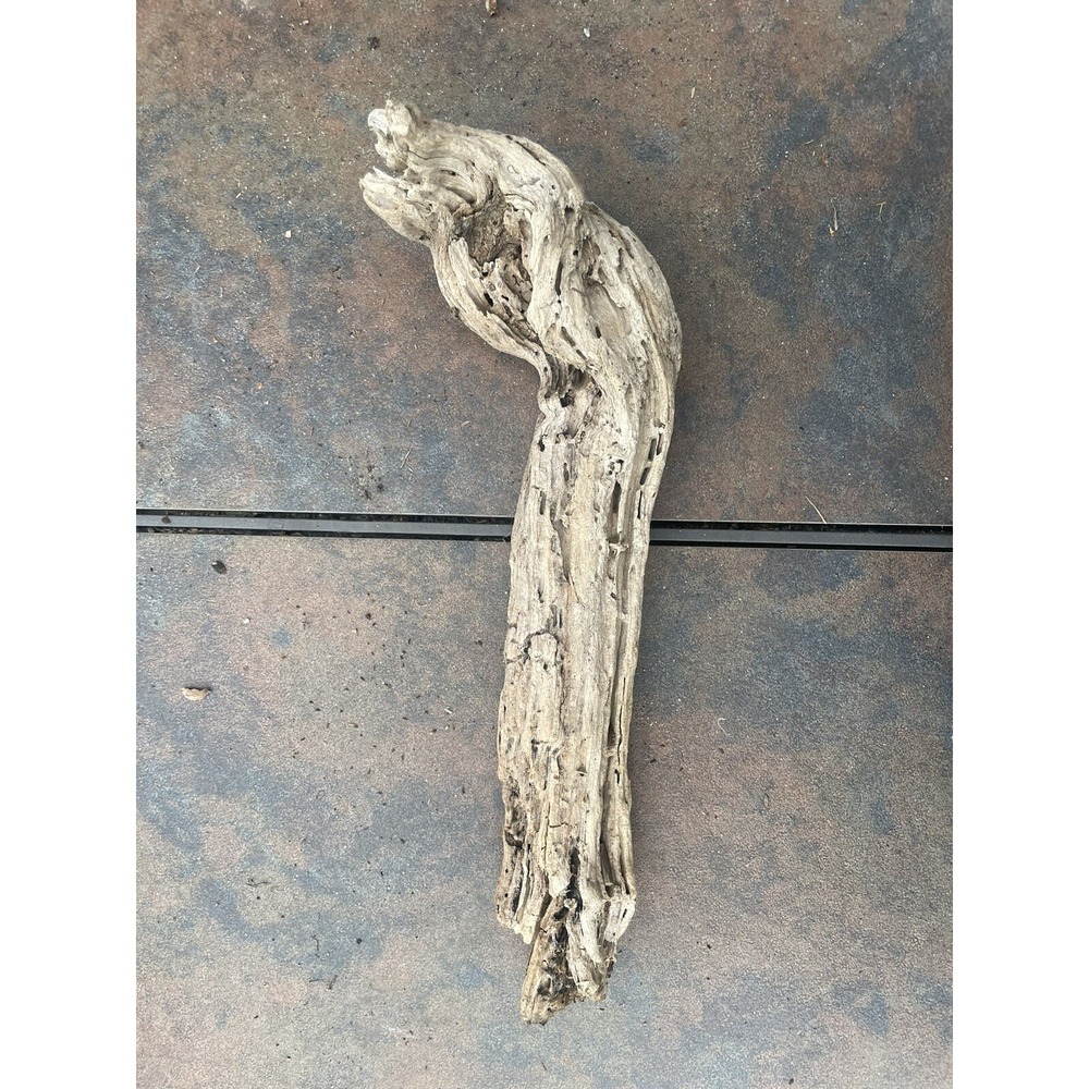 Natural Driftwood for Plants Terrarium Taxidermy Art Projects - Picture 2 of 4